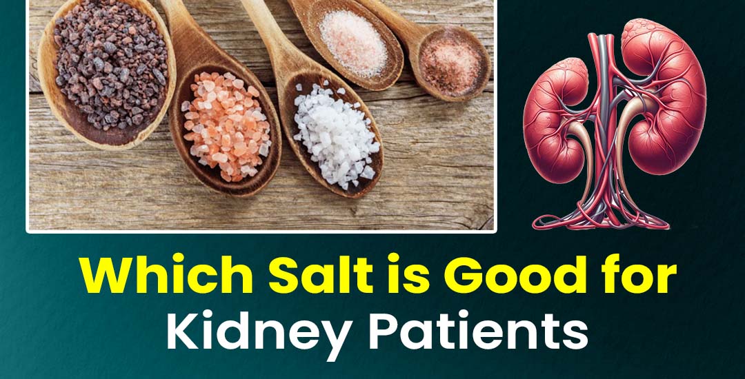 Which Salt is Good for Kidney Patients: Hidden Facts You Need to Know!